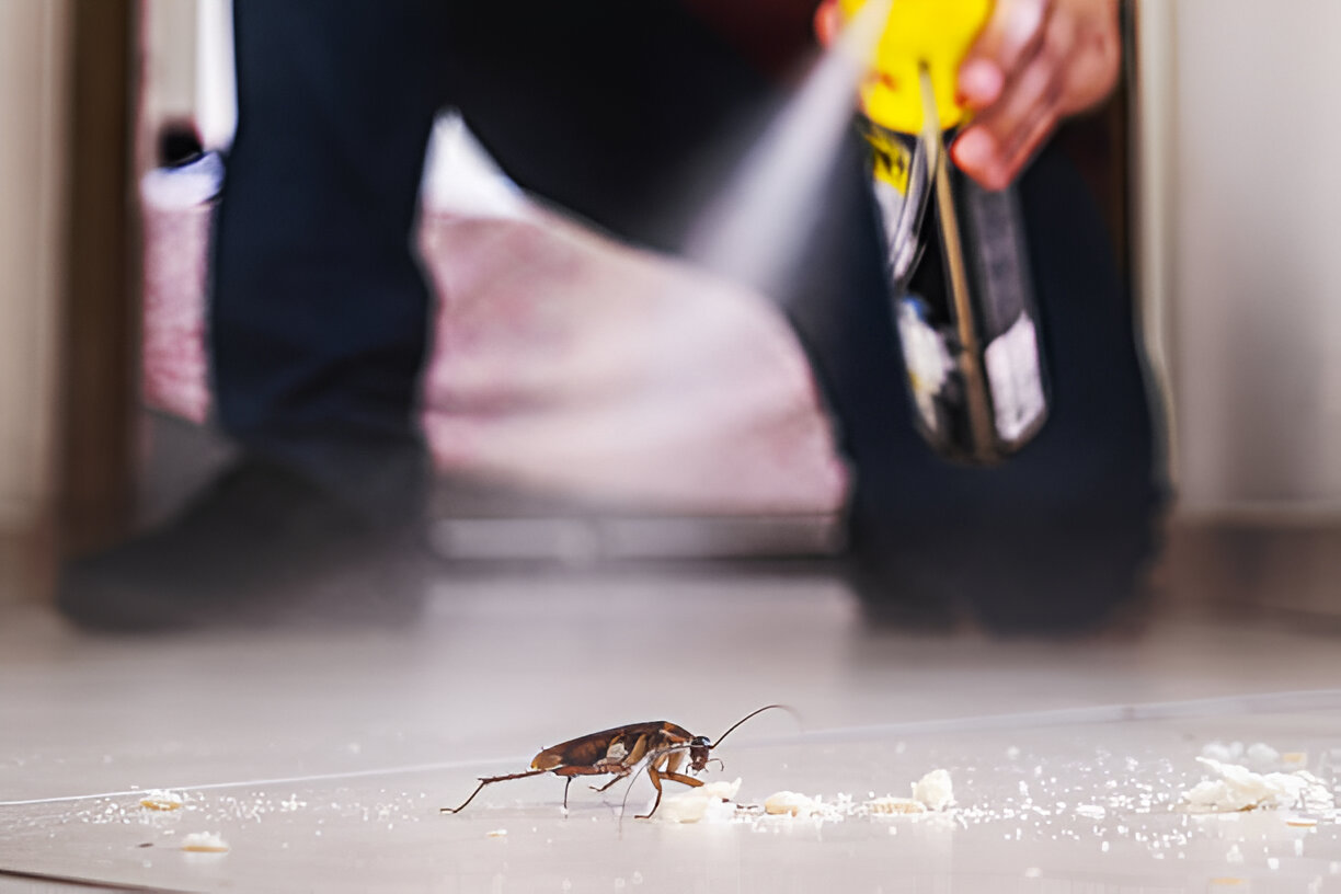Cockroach Management