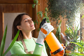 Eco-Friendly Solutions