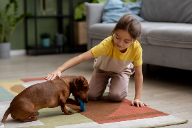 Safe for Kids and Pets