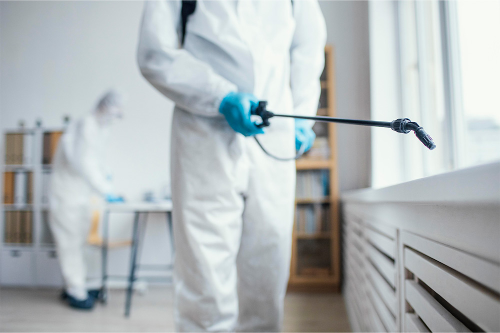 anti termite