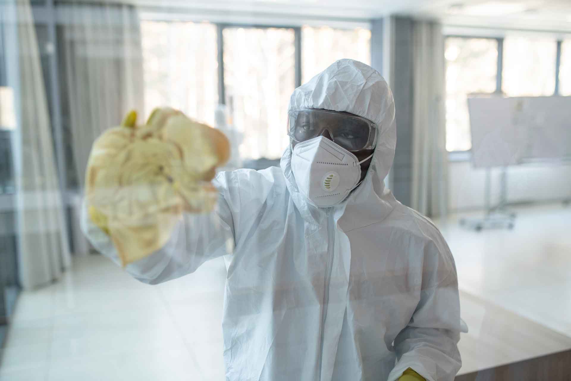 Pest Control Qatar