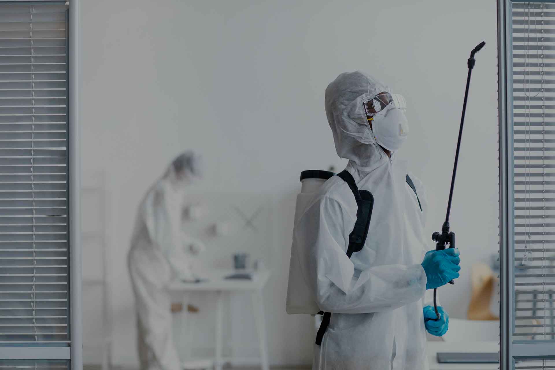 Pest Control Qatar